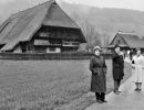 schwarzwald-004
