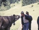 berwang-027