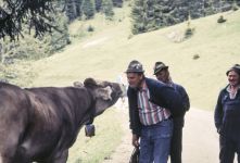 berwang-027