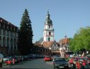 neckar-010