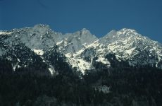 scheffau-031