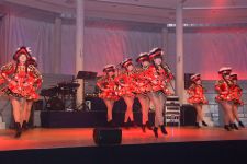 faschingsgala-005