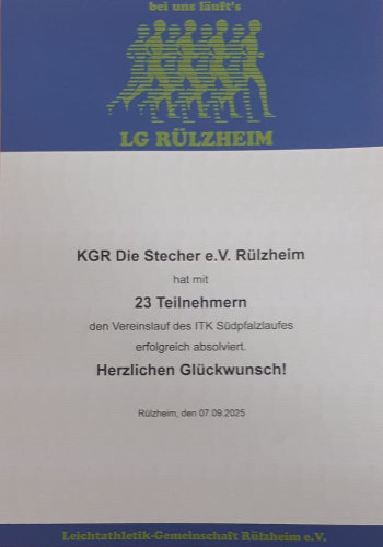 suedpfalzlauf2025a