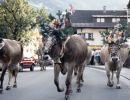 zillertal-005