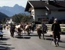 zillertal-013