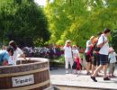 tripsdrill_028