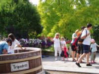 tripsdrill_028