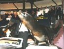 09gala_027