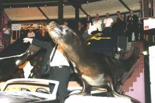 09gala_027