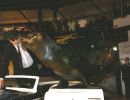 09gala_032
