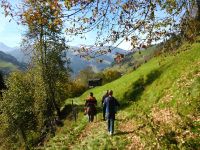 grossarl024