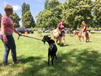kinderfest-001