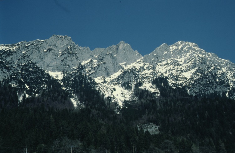 scheffau-031