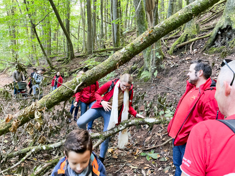 wanderung2024-2