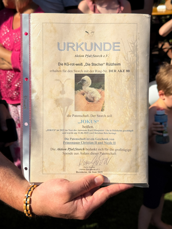 prnzenfest2025-010