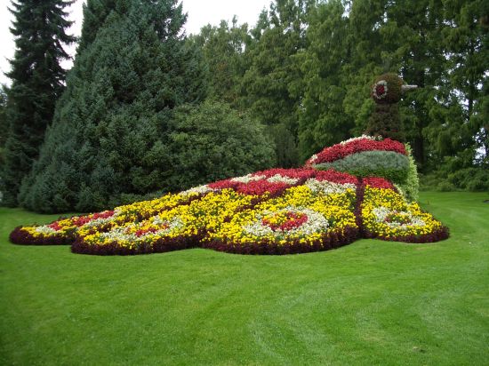 bodensee018